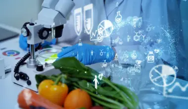 Nutrition Insight logo