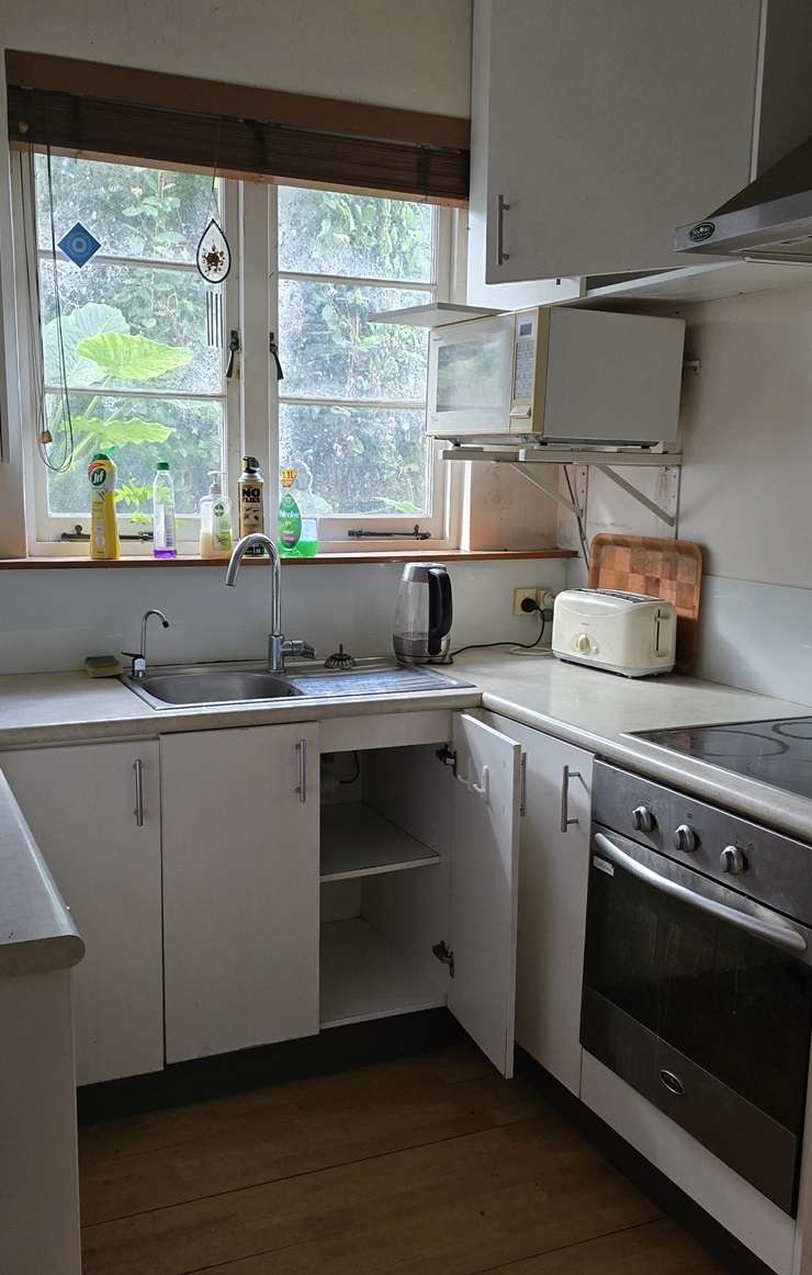 TV gardener Dale Harvey, left, in 2009 with his partner John Newton. The couple were opening their garden to the public for the Heroic Garden Festival. Photo / Sylvie Whinray