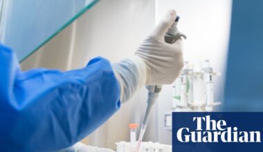 ‘Traceability is vital’: labs test thousands of unregulated substances amid peptide craze | Weight-loss drugs