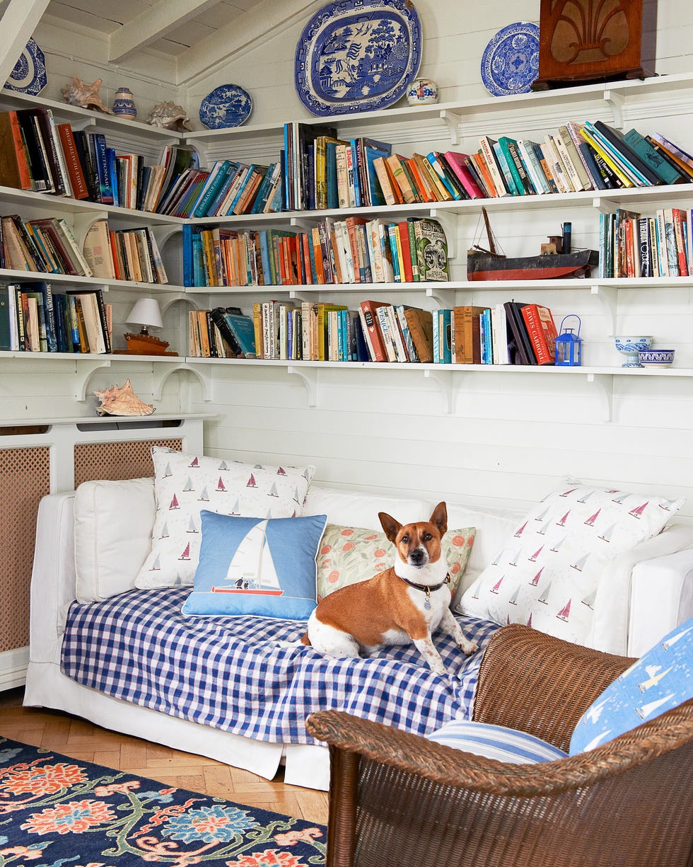 Cozy living room with bookshelves and a dog.