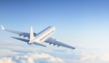 Airline plunges into liquidation - in business since 2007 | World | News