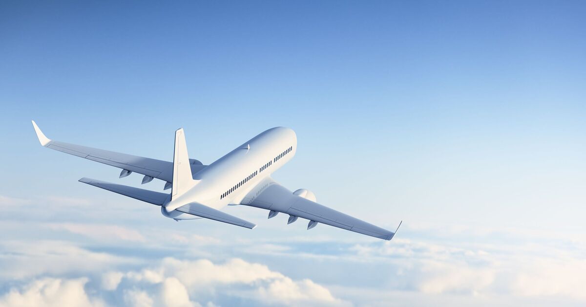 Airline plunges into liquidation - in business since 2007 | World | News