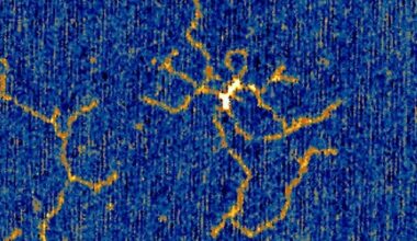 Nature’s Photocopiers Caught ‘Doodling’ – and Scientists Say It Could Revolutionise How DNA Is Written