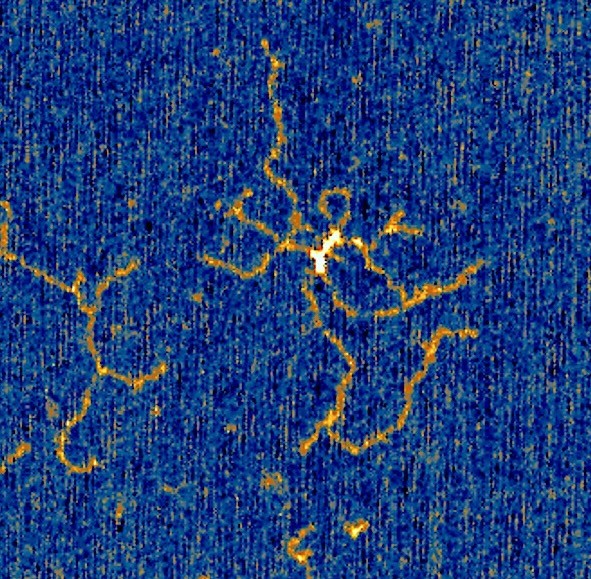 Nature’s Photocopiers Caught ‘Doodling’ – and Scientists Say It Could Revolutionise How DNA Is Written