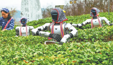 Asia turns a new leaf in its AI ascent