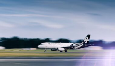 Air New Zealand is the worst of both worlds – Nick Stewart
