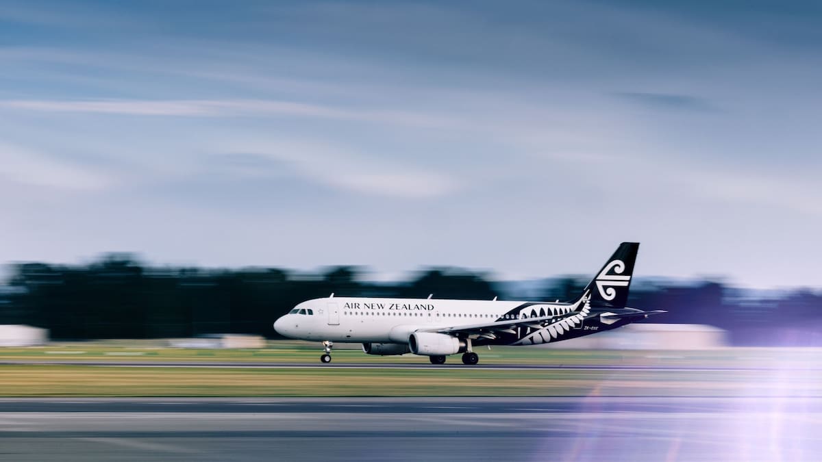 Air New Zealand is the worst of both worlds – Nick Stewart
