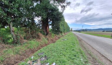 2 people injured in weekend fatal crash now stable in Waikato Hospital