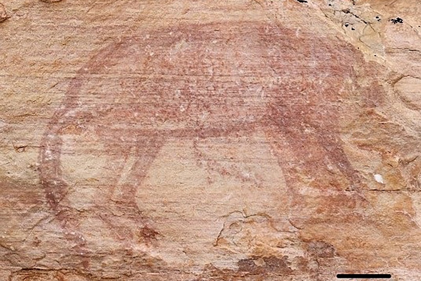 Rock art depicting Tasmanian tigers