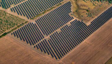 Unexpected benefits of solar plants revealed