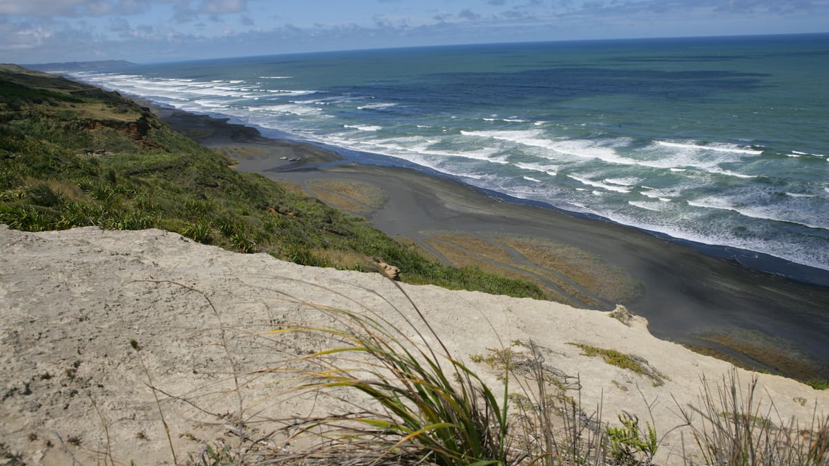 Karioitahi Beach incident: 1 person in serious condition taken to Auckland’s Middlemore Hospital
