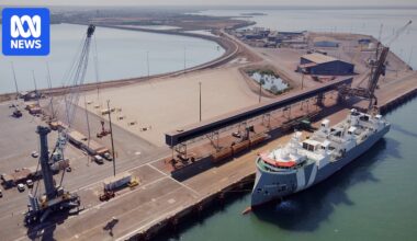 More than 1,000 fish killed in Darwin Port after iron ore pollution