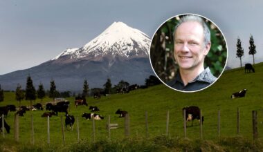Death of Taranaki Maunga tramper Christoph Huelsmann ‘not readily preventable’, coroner finds