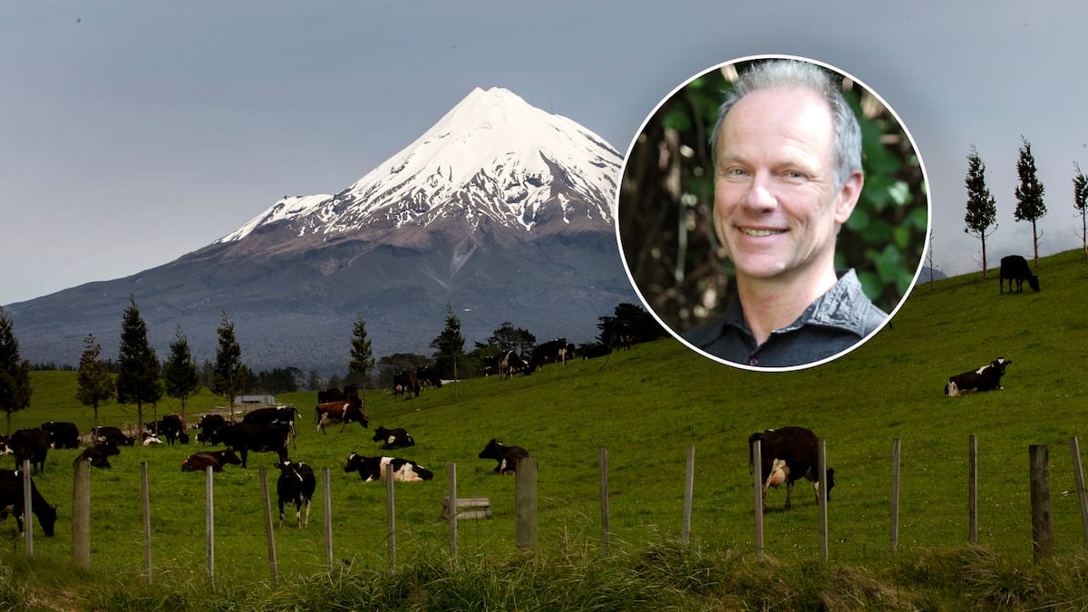 Death of Taranaki Maunga tramper Christoph Huelsmann ‘not readily preventable’, coroner finds