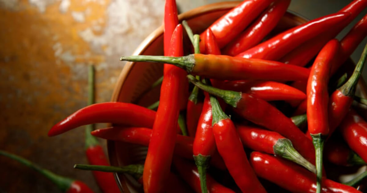 OmniActive's Capsimax may work as a GLP-1 'booster'