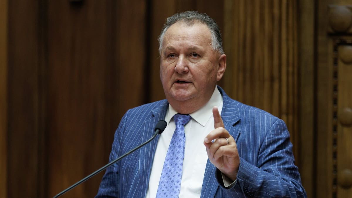 Shane Jones says NZ First will complain to National over MP’s comments about fishing reform bill
