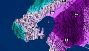 Wellington rain easing today but cold southerly winds set to bite