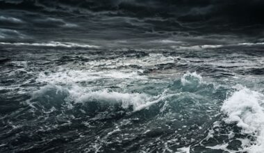 Crew member missing after going overboard from Mariner trawler