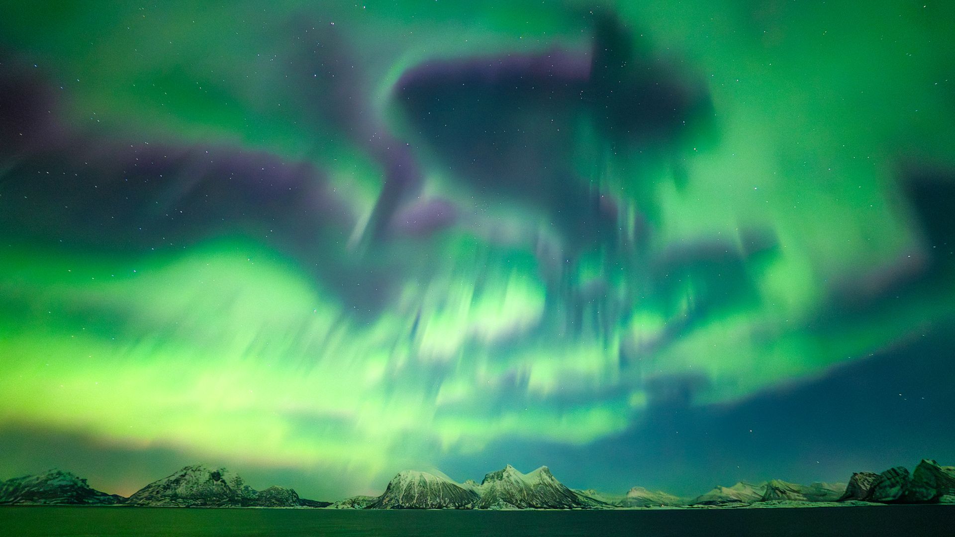 vivid ribbons of green and pink swirl through the deep blue sky.