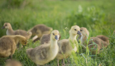 Yahoo lifestyle home