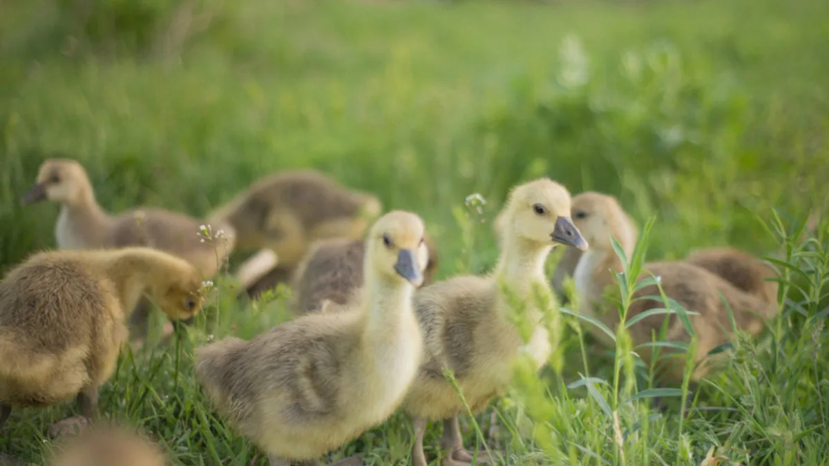 Yahoo lifestyle home