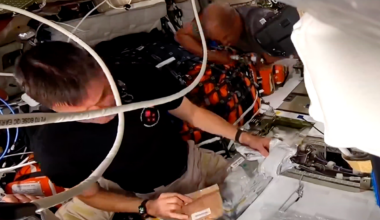 Video: Artemis II crew lunch menu reveals unexpected variety
