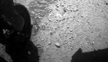A Professor Says He Found Living Creatures On Mars In Rover Photos, Researchers Say There’s A Simpler Explanation