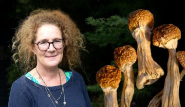 Auckland GP Fi Darracott-Cankovic offers all-day psychedelic trips for the terminally ill