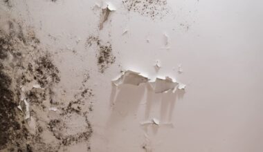 Auckland landlord and pharmacist Scarlett Hong ordered to pay $13k over mouldy rental