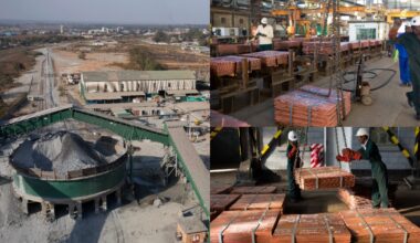 India faces major setback in Zambia mineral deal as talks falter over cobalt and copper rights