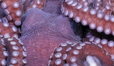 After A Giant Iceberg Broke Away, Scientists Found A Long Sealed Marine World Under Antarctica