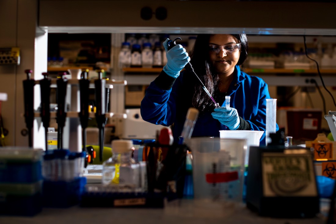 A person with dark hair, wearing a blue labcoat and latex gloves, pipettes a chemical into a tube in a laboratory.