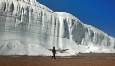A Close Look at the Earth's Tiniest, and its Most Vast, Wonders