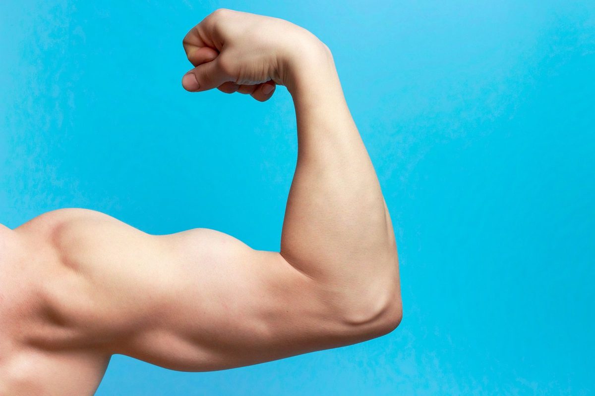 The simple, science-backed 100-day plan for lasting fat loss