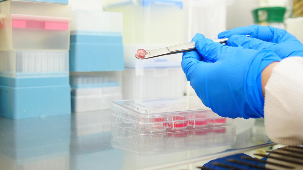 רקמה מודפסת עם תאים חיים שגדלים באנקובטור