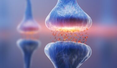 New fiber probe enables real-time monitoring of key biomarkers