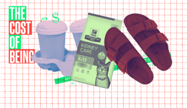 The cost of being: A ‘dual income, no kids’ government worker