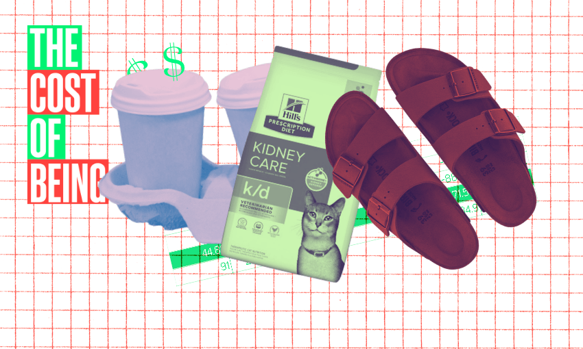 The cost of being: A ‘dual income, no kids’ government worker