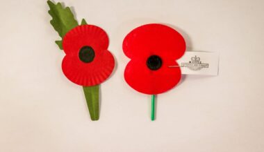 Letters: Poppy love - bring back the oldies that had staying power
