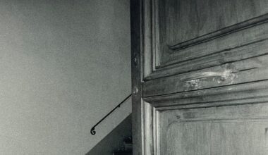 The Moth EP | Pitchfork