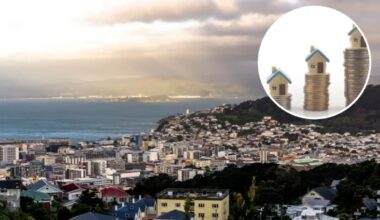 Wellington rates doubled since 2012, among most expensive in New Zealand, new report finds