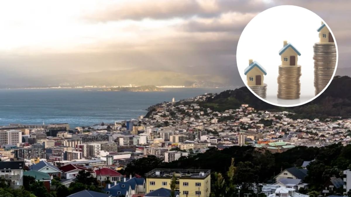 Wellington rates doubled since 2012, among most expensive in New Zealand, new report finds