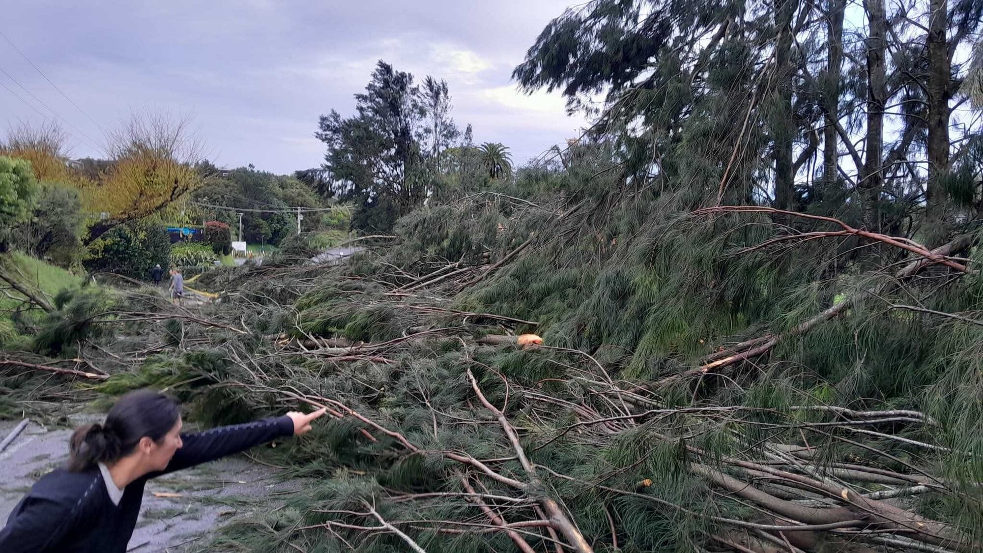  Damage from what residents have called a mini tornado in Tauranga. Photo / Supplied