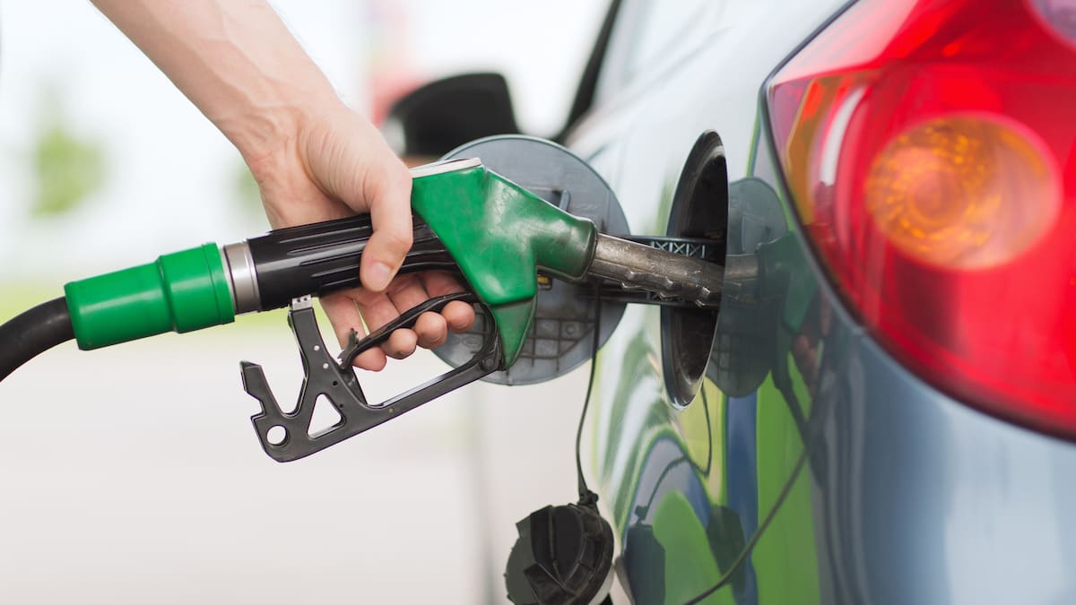 Business confidence falls again, but shock of war may be easing – ANZ