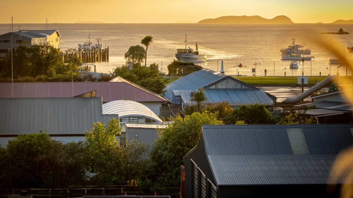 Stewart Island plans to be solar-powered by Christmas in face of rising diesel costs