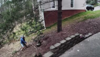 Camera captures couple fighting off raccoon that attacked family dog and wouldn’t let go