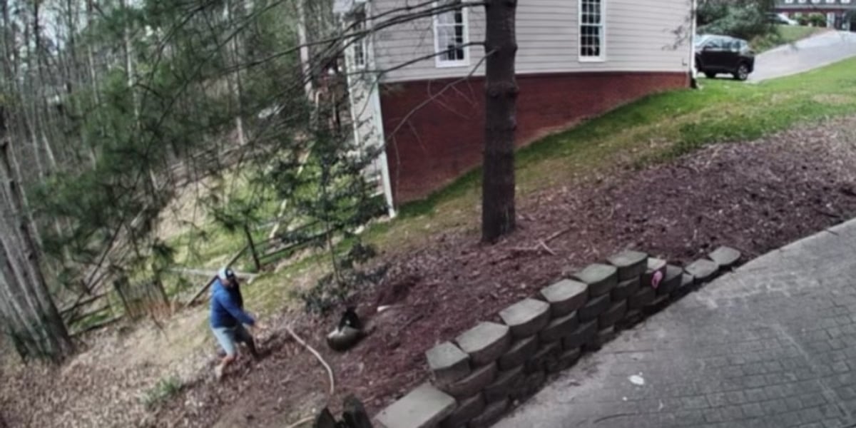 Camera captures couple fighting off raccoon that attacked family dog and wouldn’t let go