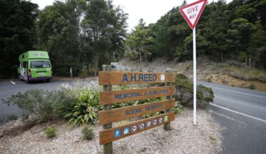 Kauri dieback detected in central Whangārei park for first time
