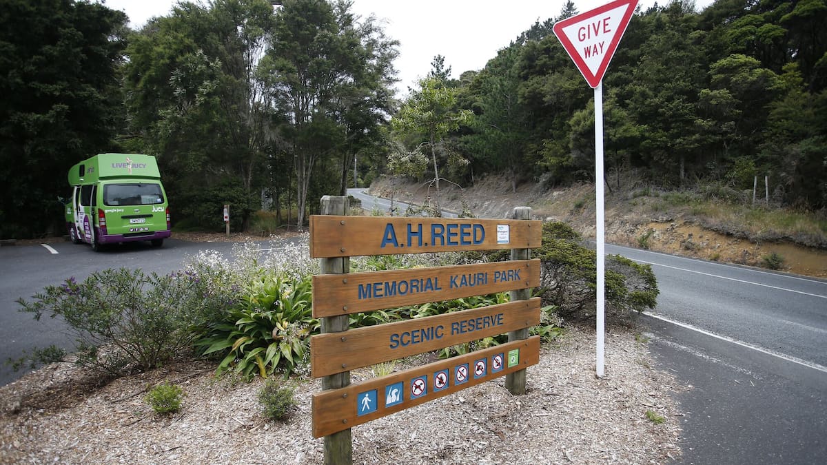 Kauri dieback detected in central Whangārei park for first time