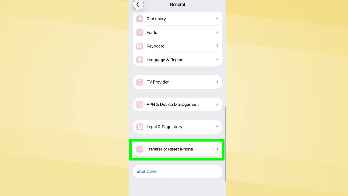 Transfer or Reset iphone highlighted on iPhone